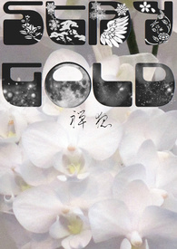 Stay Gold½б,Stay GoldȫĶ